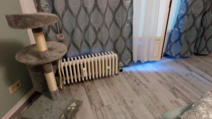 Heller Laminatboden im Wohnzimmer